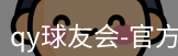 qy球友会